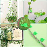 گیره گل رونده طرح حلزون بسته 10 عددی