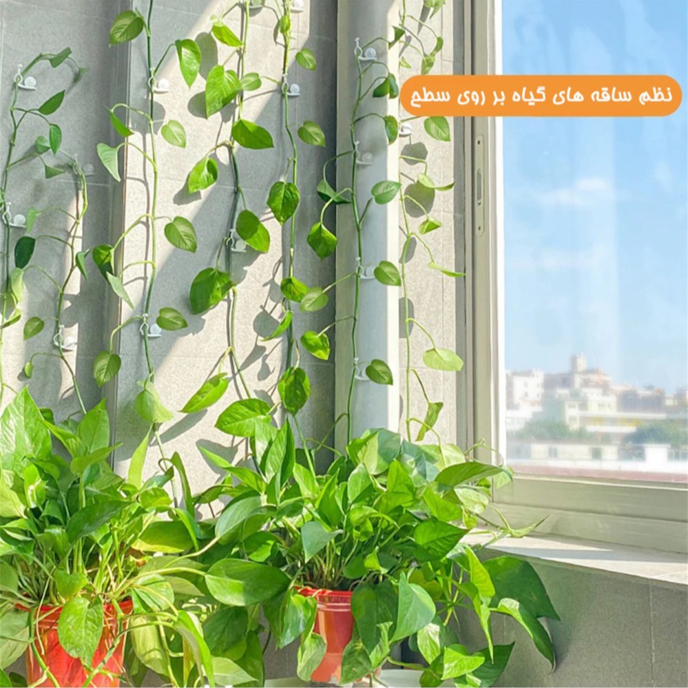 گیره گل رونده طرح حلزون بسته 10 عددی