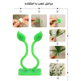 گیره نگهدارنده گل پتوس بسته 10 عددی