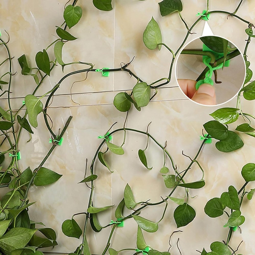 گیره نگهدارنده گل پتوس بسته 10 عددی