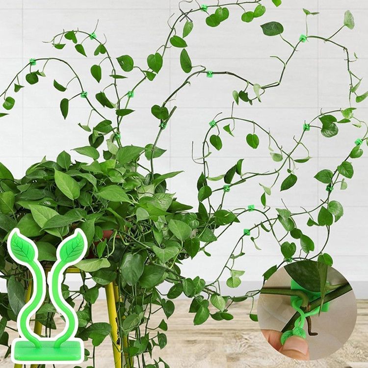 گیره نگهدارنده گل پتوس بسته 10 عددی