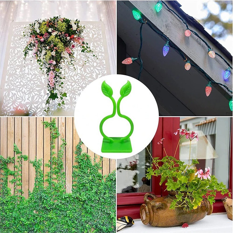 گیره نگهدارنده گل پتوس بسته 10 عددی