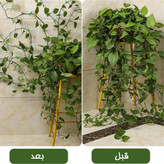 گیره نگهدارنده گل پتوس بسته 10 عددی