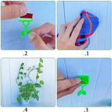 گیره نگهدارنده گل پتوس بسته 10 عددی