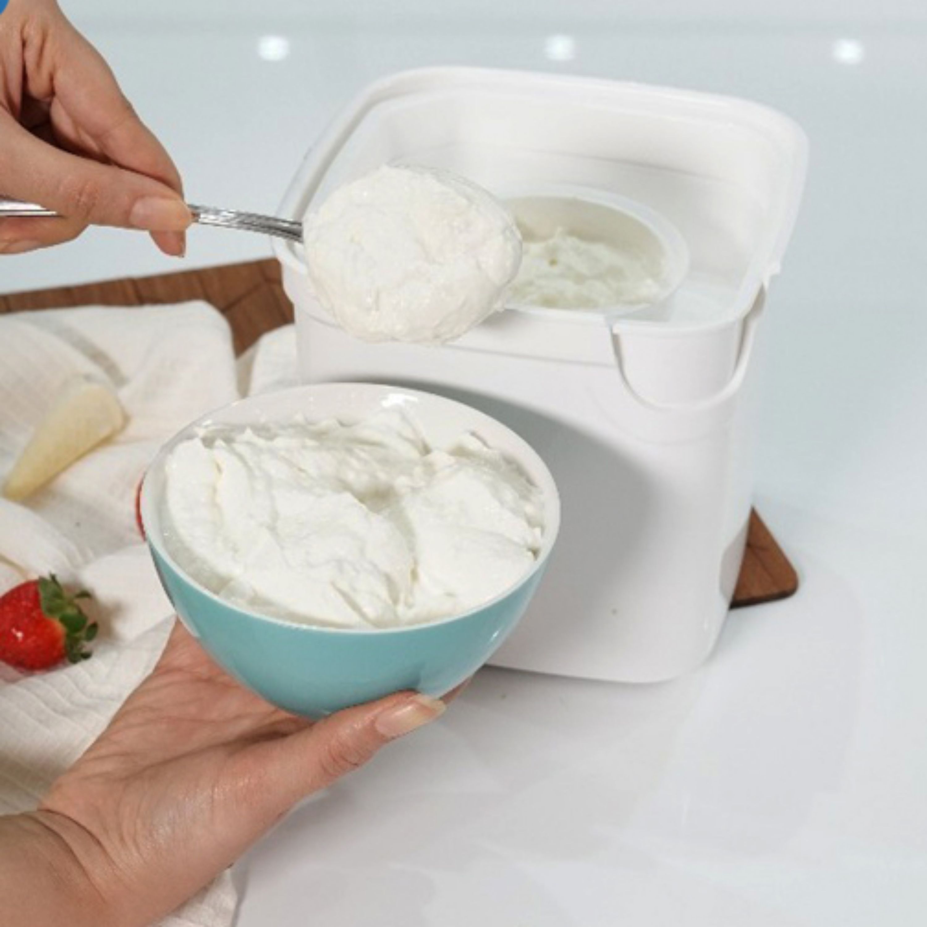 ظرف نگهدارنده ماست چی ماس