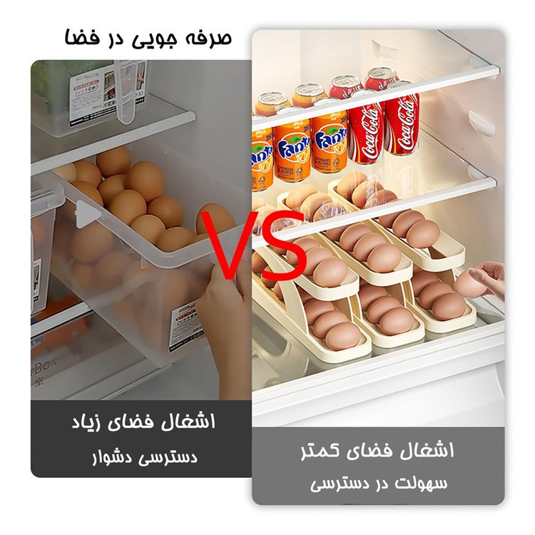 جا تخم مرغی ریلی