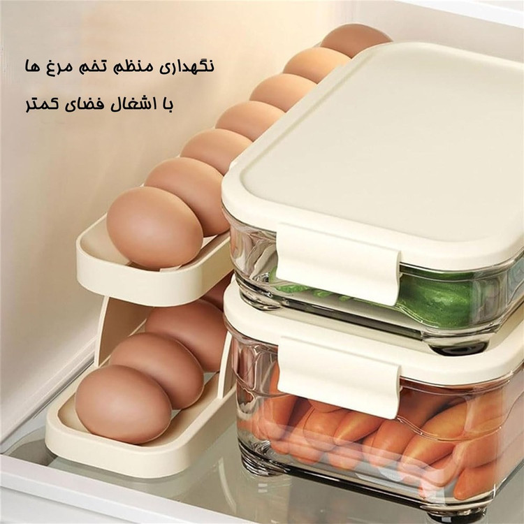 جا تخم مرغی ریلی