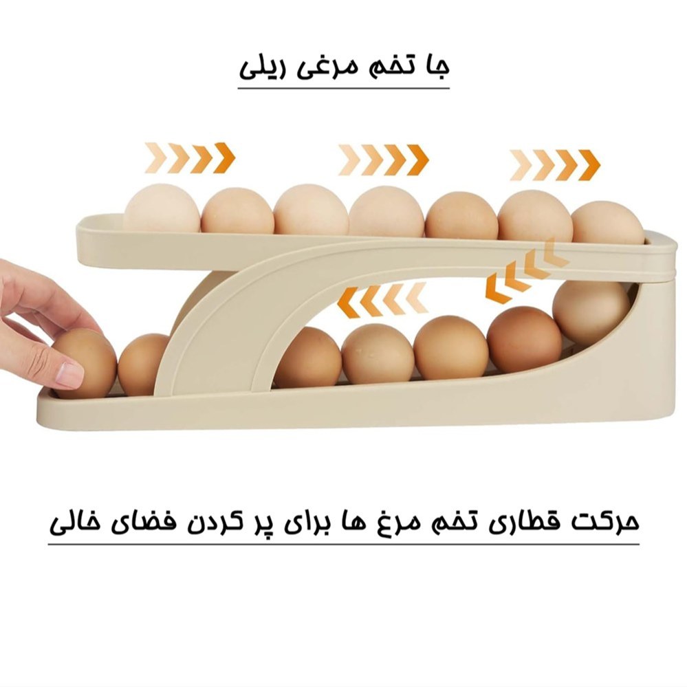 جا تخم مرغی ریلی