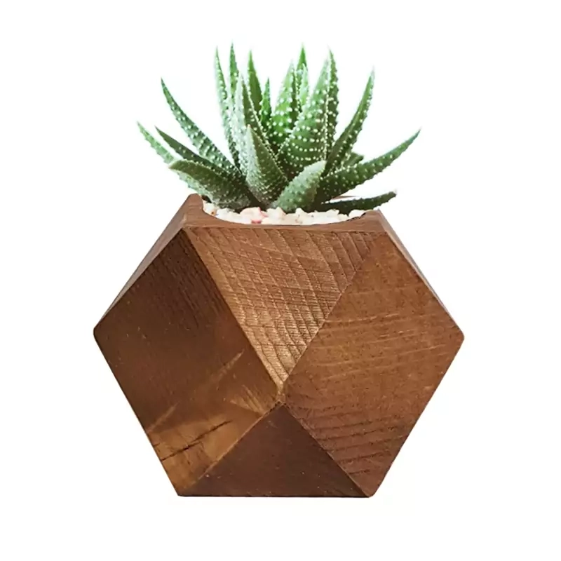 null